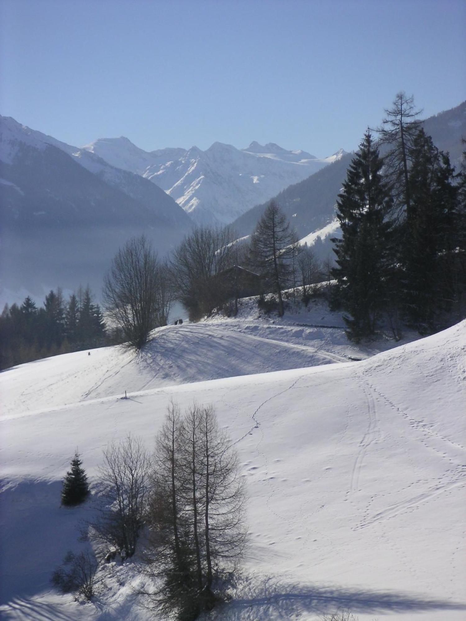 Pension Danler Telfes im Stubai Exterior foto