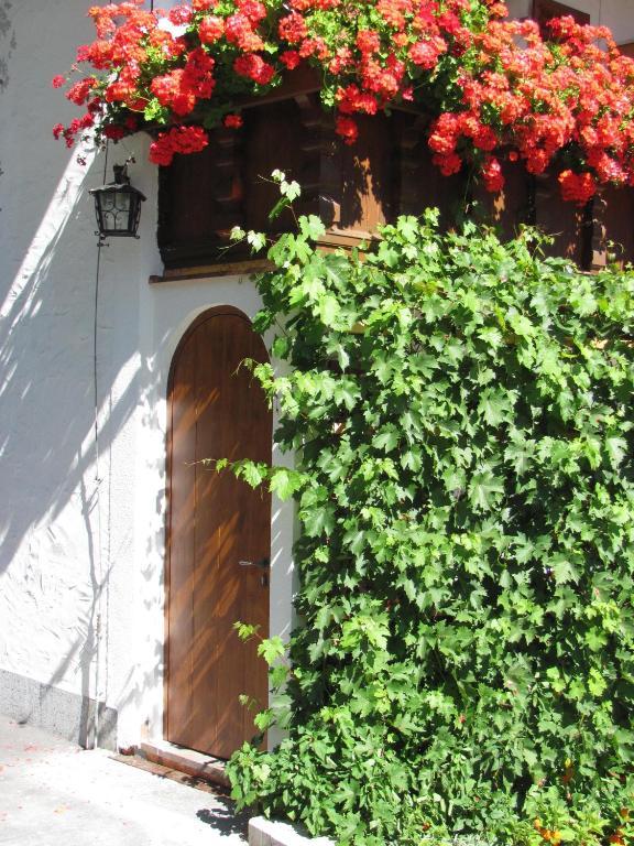 Pension Danler Telfes im Stubai Exterior foto